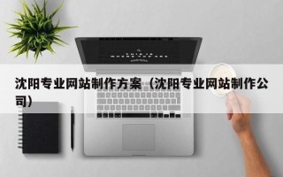 孟津沈阳专业网站制作方案（沈阳专业网站制作公司）